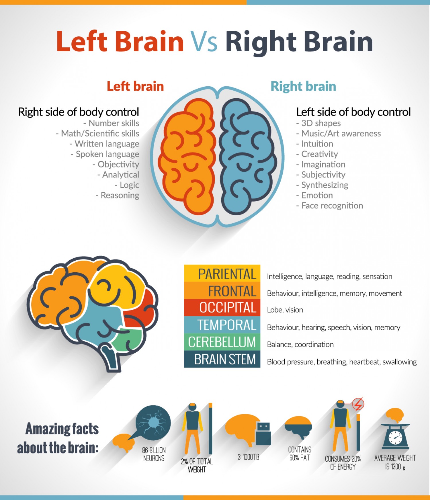 Brain Power Comparison between left-handed people and right-handed people