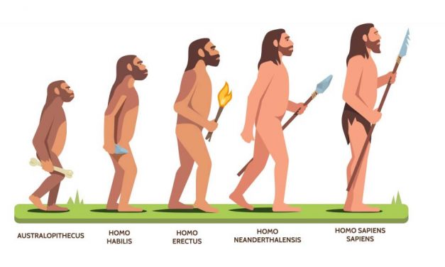 One Giant Leap for Mankind : The Evolution of our ability to Speak