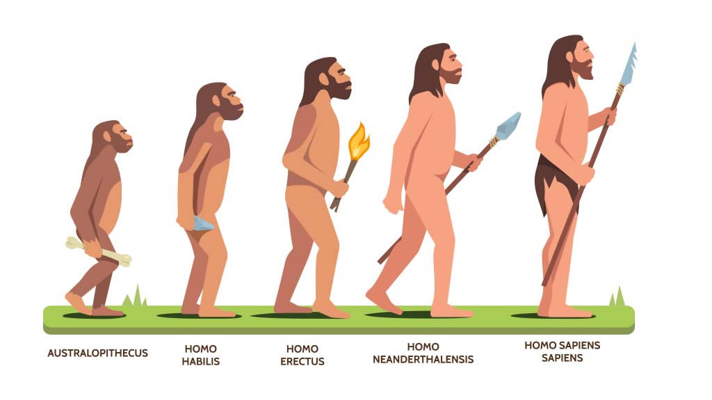 One Giant Leap for Mankind : The Evolution of our ability to Speak