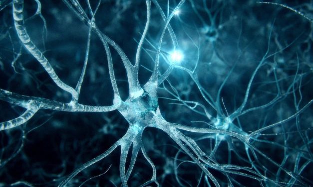 Your Brain is Amazing but Who Are You? What is Your Reality? How do You Decide?