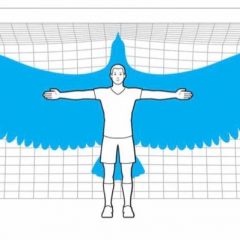 If Humans Could Fly How Big Would Their Wings Have to Be?